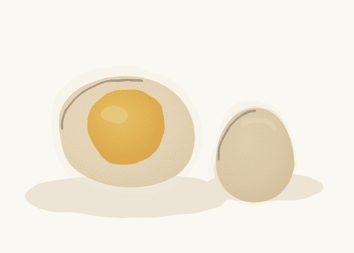 Eggs Five Ways — free homeschool activity plan from Knowly, Grades K–8